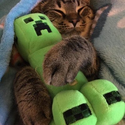 mkultraur's profile picture. 