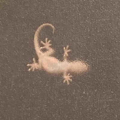 82さんのプロフィール画像