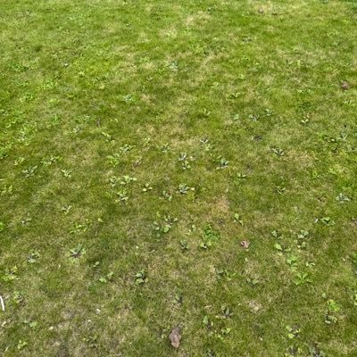 chs_lightning's profile picture. Pilot UT, Tree Guy, Horseologist.