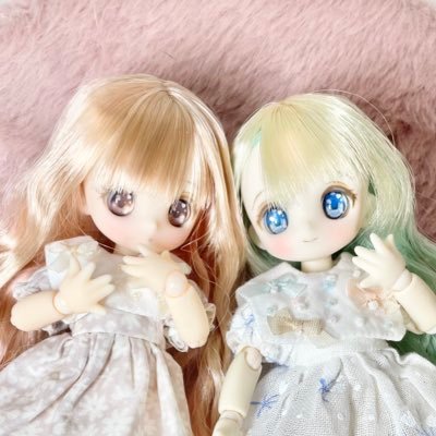 ヤム🌱さんのプロフィール画像