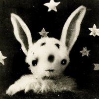 wizard of loneliness (@juucyfruutt) 's Twitter Profile