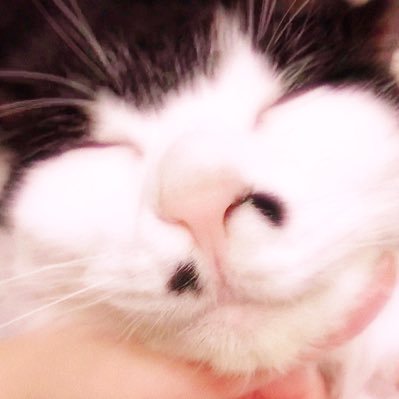 🇯🇵30↑腐・落書きとドール写真/ぬ🦀エイト受け寄り気味 眷属cpNG❌/NSFW 🦋⇨ https://t.co/JGMkhC7edB R18🔞⇨ https://t.co/EcEKqOZODM
