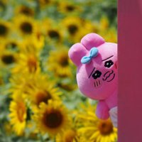 ❤︎ぷりん❤︎様8/25までお取り置き maxresdefault.jpg