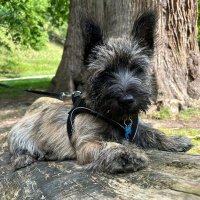 becky sidebottom (@bsidey74) 's Twitter Profile