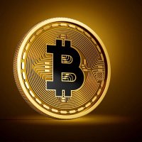 Crypto King (@cryptoking40124) 's Twitter Profile