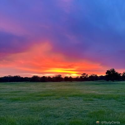 latiteferi6's profile picture. 