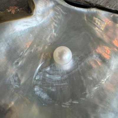 motoguri's profile picture. こだわりのロックで元素騎士やってます。 インドネシア語が少し話せます。 以前真珠養殖の仕事をしてました。