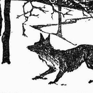 synthes1ze's profile picture. 