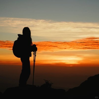 luna_hikari88's profile picture. 静かに海を眺め、旅と金融を愛する投資家。🌸