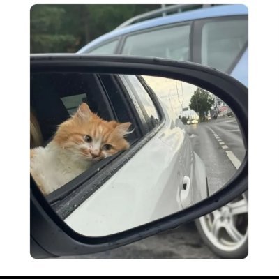 bhaskar_kriti's profile picture. DevOps Engineer | Fixing Pipelines 
Scrolling during lunch breaks |