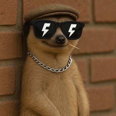 Web3 | Yap @fogochain |
Trader & Degen| Tesnet user