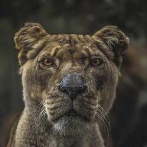 TheEdwank's profile picture. 