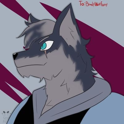 Hello and nice to meet everyone, you can call me Wolf. My oc is an assassin wolf in the pinned post as you can see :3
Banner art by @/crispyRGB