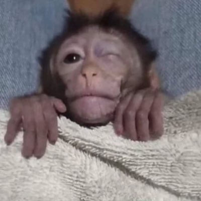 theweatherisr's profile picture. last chance.WARNING. NOT JOKE. Don't follow me. NEVER.