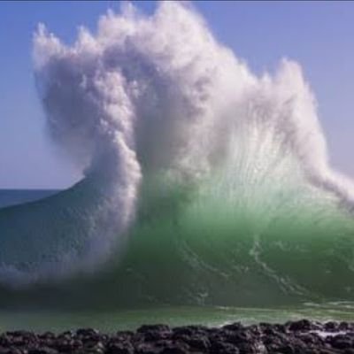 msprgup's profile picture. न हम-सफ़र न किसी हम-नशीं से निकलेगा,
हमारे पाँव का काँटा हमीं से निकलेगा