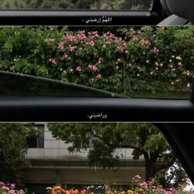 Kasu129's profile picture. اللهُم دعوات قلبِي ، اللهُم إجابتك .🧡🌿