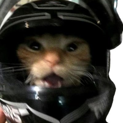 nucleerlol's profile picture. 
