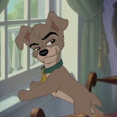 mrn731's profile picture. 