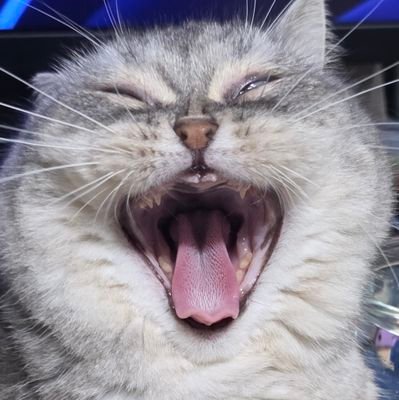 Dam_2728's profile picture. 오타쿠