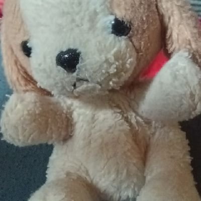 トイザらスのアニマルアレイ、frienzooのミニイヌをメルカリ等で譲ってくれる方を探しています。
#ぬいぐるみ
#ぬいぐるみ好きさんと繋がりたい
#ぬい撮り
#ぬい活
#ぬいぐるみ時間