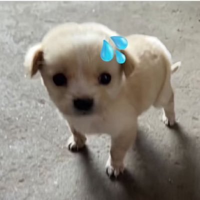 kavivwch's profile picture. 구독..