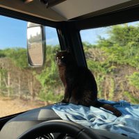Neo (@aventureneo) 's Twitter Profile