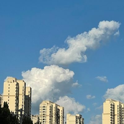 FyNt410WoY9pX7M's profile picture. 