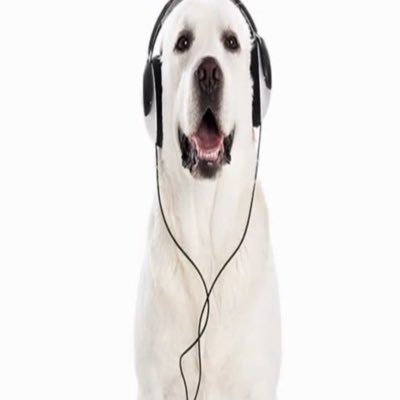 ott4000's profile picture. boy turn that clairo off and grab u a beer