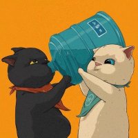 深夜淑屋 (@temishawhite) 's Twitter Profile Photo