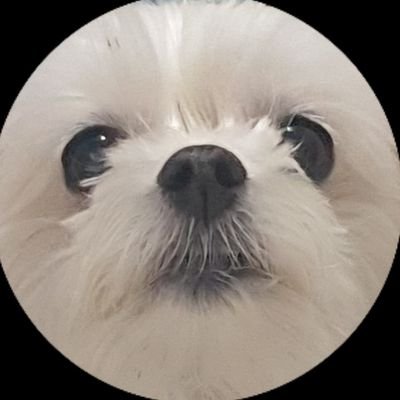 timeforus0116's profile picture. 안녕하세요, 제가 헤테로충으로 보이시나요?
#옝_헤테로_추천
#옝_전시_후기