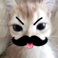 lala 🐡 (@withlalaa) 's Twitter Profile