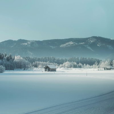 saumyameattle's profile picture. 