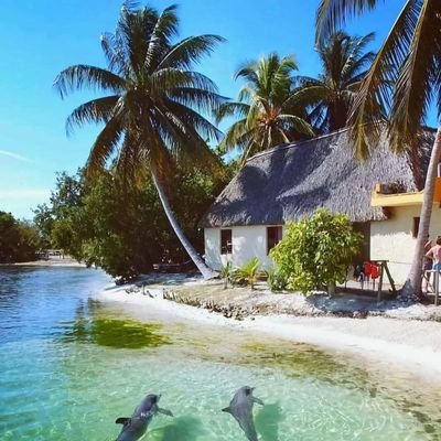 FinchPuyol's profile picture. With my family, I am a communist & with my close friends, I am a socialist. Then, I can be a Democrat, a Republican, and/or a Libertarian.....💪🏽