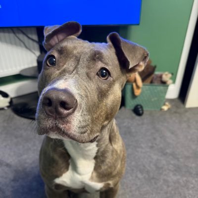 Jake Profile