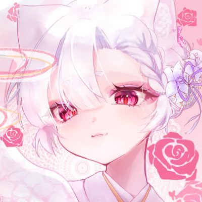 ねこのゆめさんのプロフィール画像
