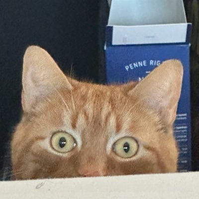 je ne suis pas seulement une femme qui tweet sur les voitures et qui est heureuse, puisque j’ai choisi de faire du droit