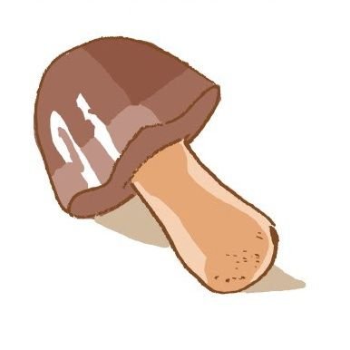 kinokono_kira's profile picture. @kinokonokira047 が何かあった時用のサブ垢です。