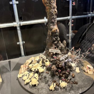 lemonhammer12's profile picture. JAMSTEC、JAXA、ウミウシ、サメ、古生物、鉱物、地層、単細胞生物、大好きで色んな本を読んだりして楽しんでいます‼️よろしくお願いします。