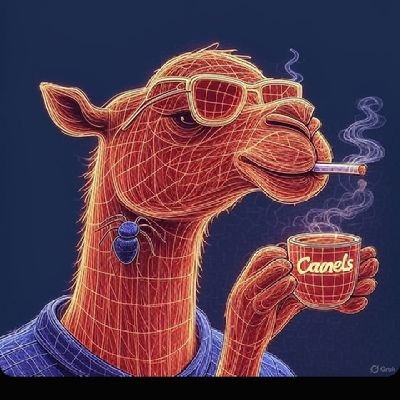 Kaidoman1's profile picture. Gamer || Raider || Reply Guy || Emerging Web3/Web2 Dev