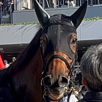 ココナッツブラウン愛好家 (@coconuts_brown) Twitter profile photo