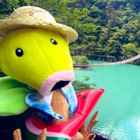 マツ子 (@mada_matsuko) 's Twitter Profile
