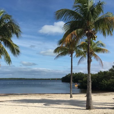 DoubleOsfl's profile picture. Hollywood Beach Florida, sights and sounds of paradise. Biking, walking, yoga, swimming, surfing, running, rollerblading, sunbathing, Live in the moment.