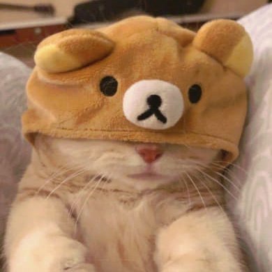 iovana_ion's profile picture. just a chill, and lovely person GGs