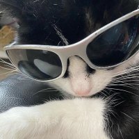 awe (@awdwlndr) 's Twitter Profile Photo awe (@awdwlndr) 's Twitter Profile Photo