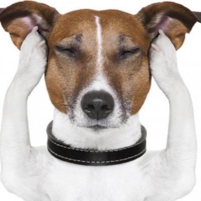 yangdohaeyo0611's profile picture. 