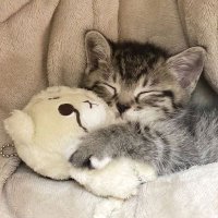 N (@thecolorvioleet) Twitter profile photo