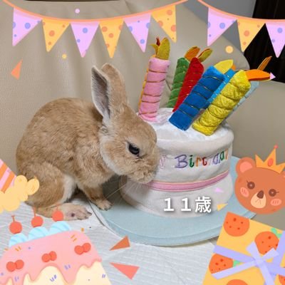 まおさんのプロフィール画像
