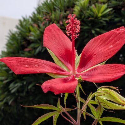 AkikoHirok84855's profile picture. 元不動産経営者、営業担当者。