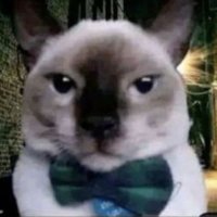 Crim Chiss (@orthopera) 's Twitter Profile