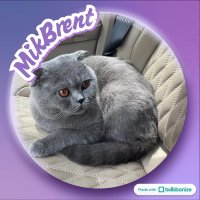 _mikzzzzz (@irixxxxxh) 's Twitter Profile